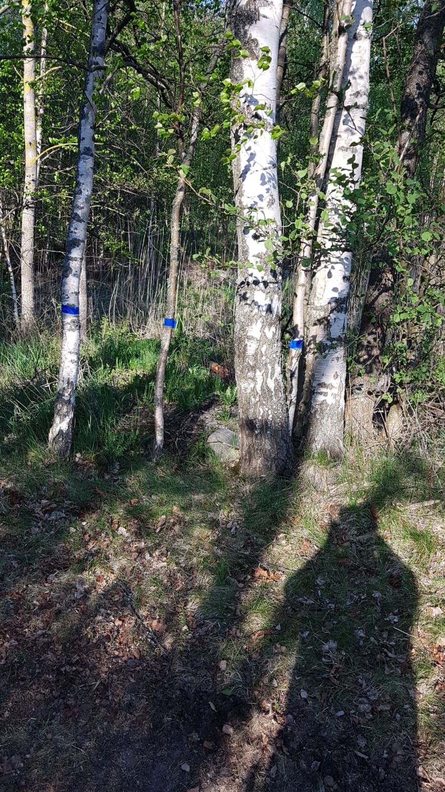img-20180515-wa0022.jpg img-20180515-wa0022.jpg