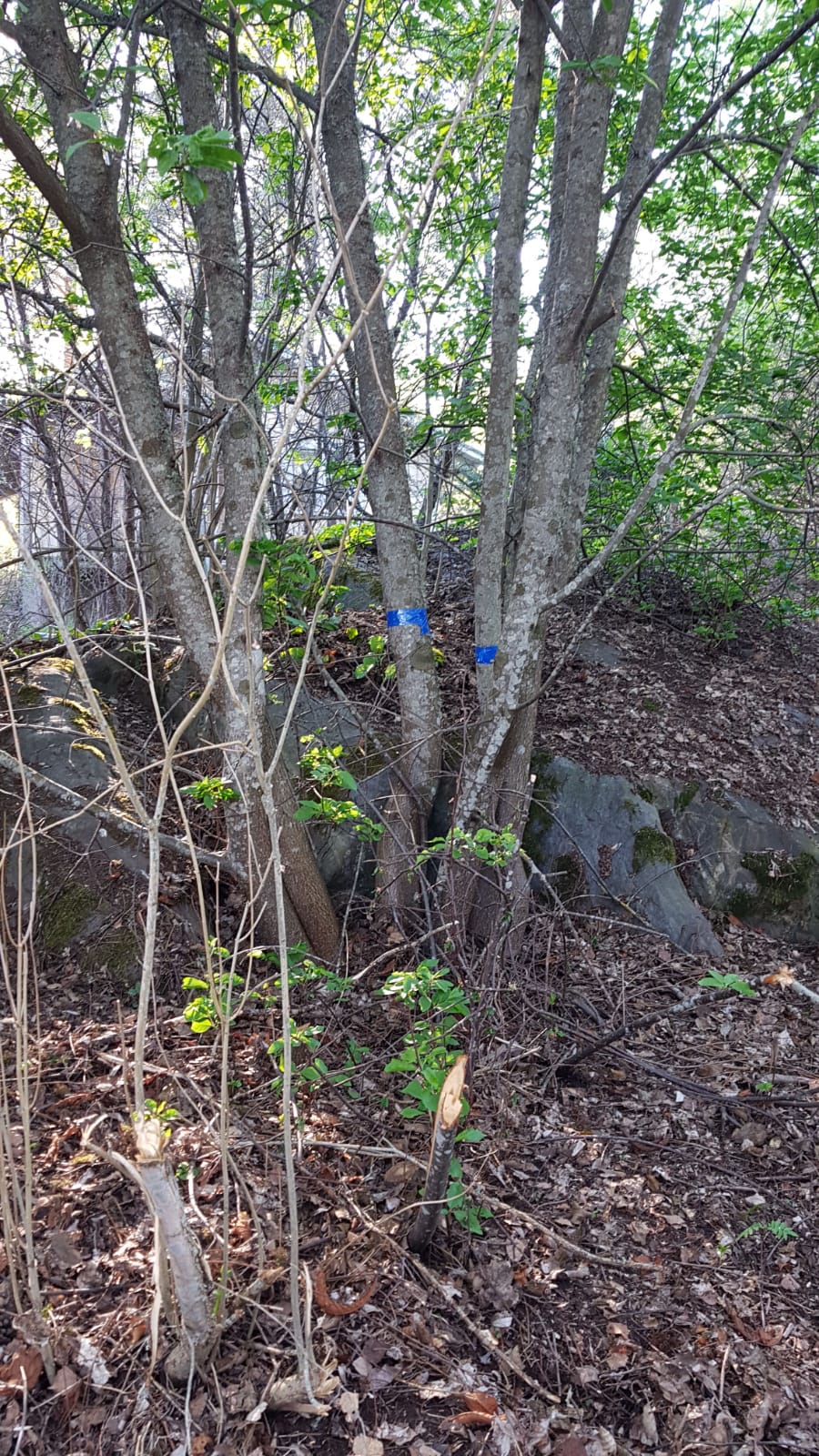 img-20180515-wa0026.jpg img-20180515-wa0026.jpg