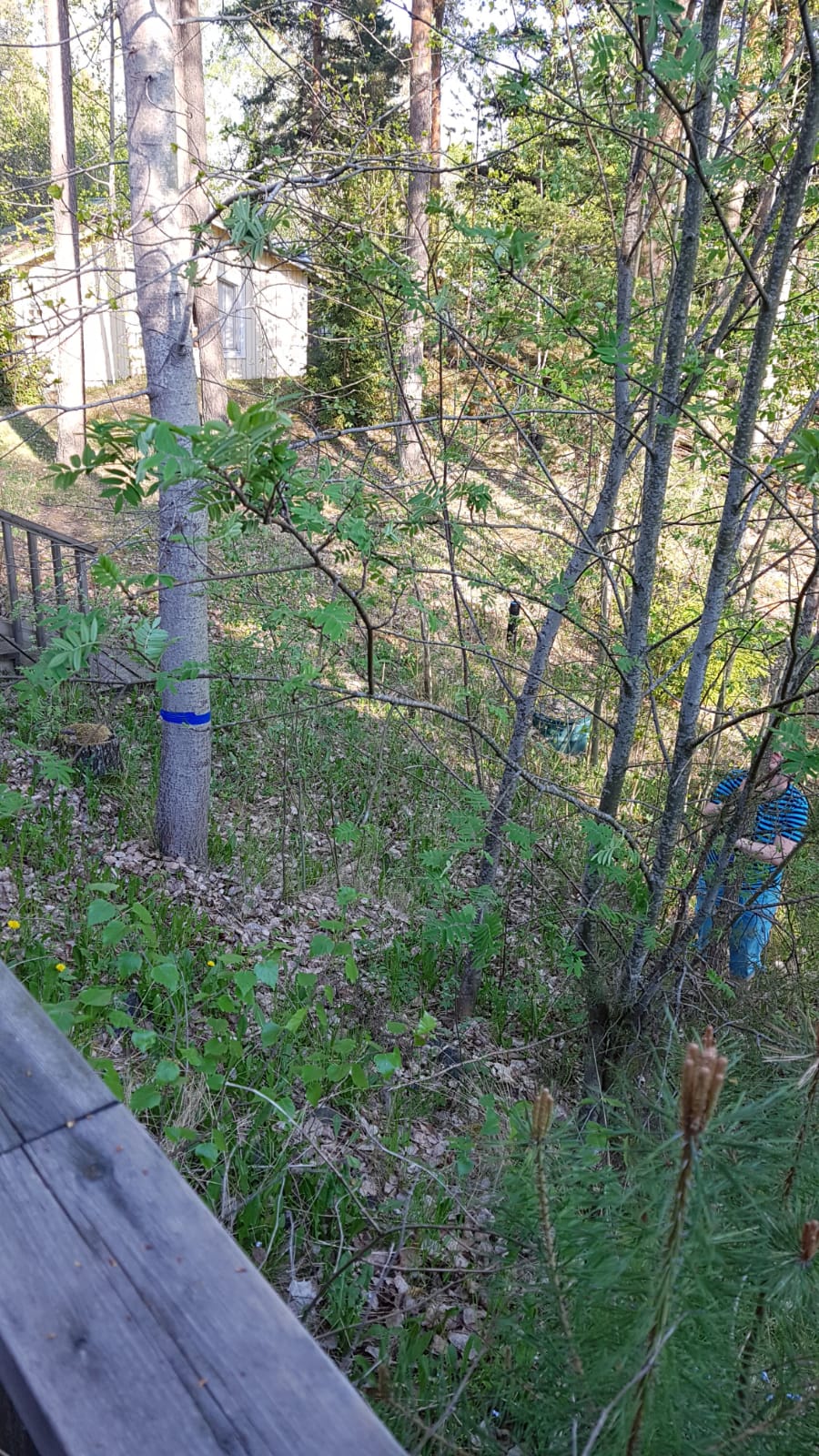 img-20180515-wa0028.jpg img-20180515-wa0028.jpg