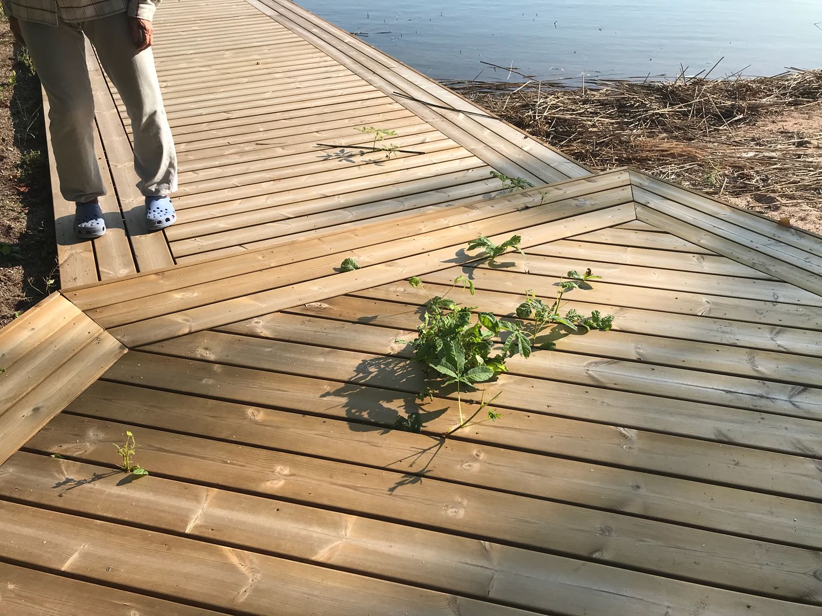 img-20180829-wa0013.jpg img-20180829-wa0013.jpg